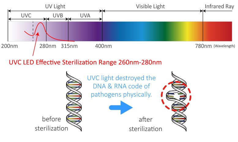 UVC LED teknolojisi, bakteri/virüs/akar gibi mikroorganizmaların DNA veya RNA'sını zarar veren 260 nm ile 280 nm arasındaki UV-C ışığını kullanır ve sağlık için sterilizasyon etkisini birkaç dakika içinde gerçekleştirerek mikropları öldürür.